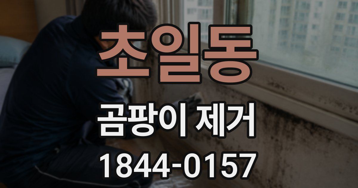 초일동 곰팡이 제거