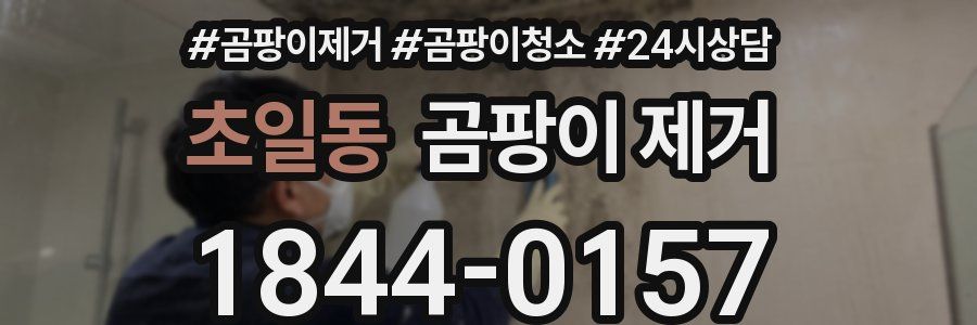 초일동 곰팡이 제거