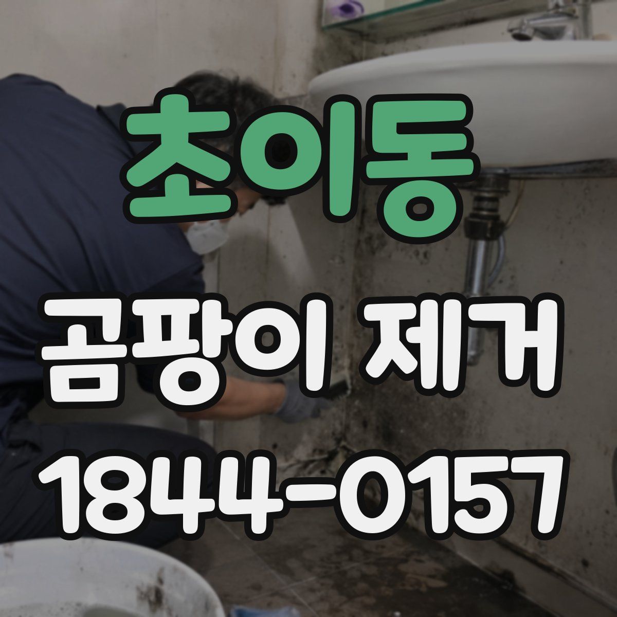 초이동 곰팡이 제거