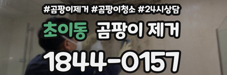 초이동 곰팡이 제거