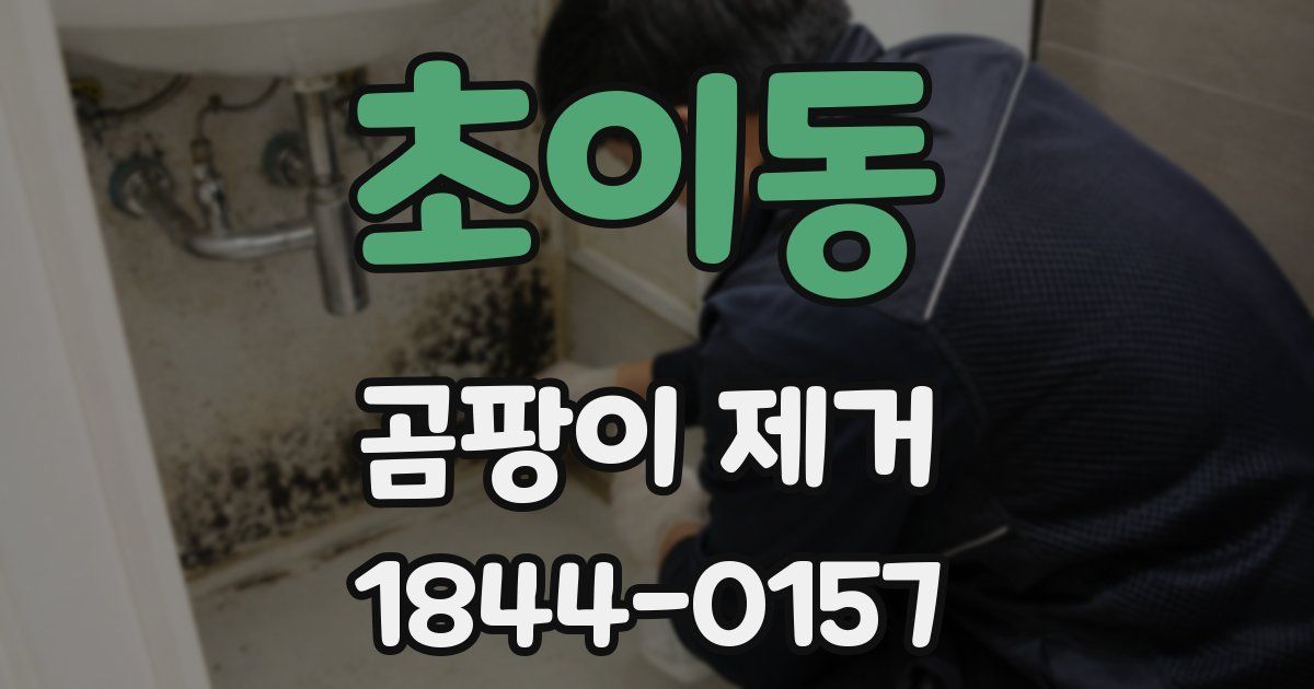 초이동 곰팡이 제거