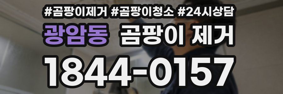 광암동 곰팡이 제거