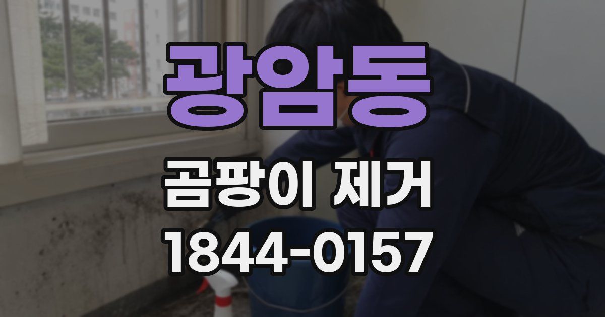 광암동 곰팡이 제거