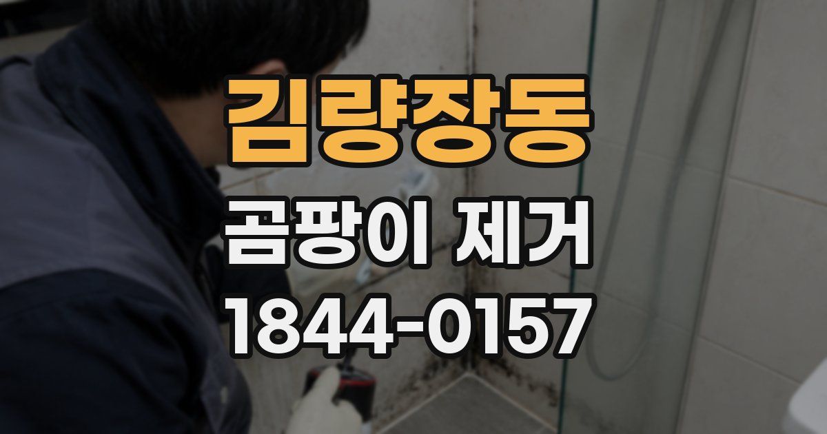 김량장동 곰팡이 제거