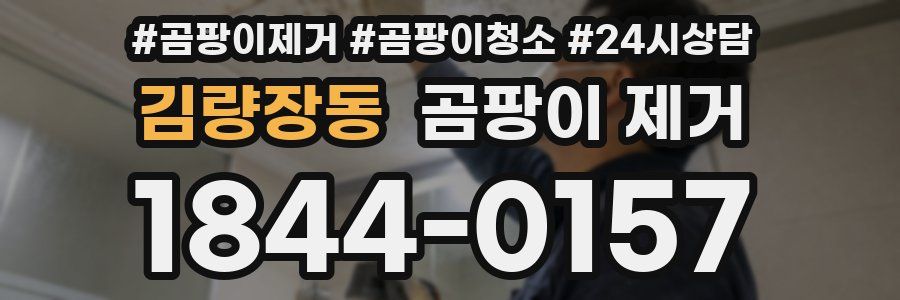 김량장동 곰팡이 제거