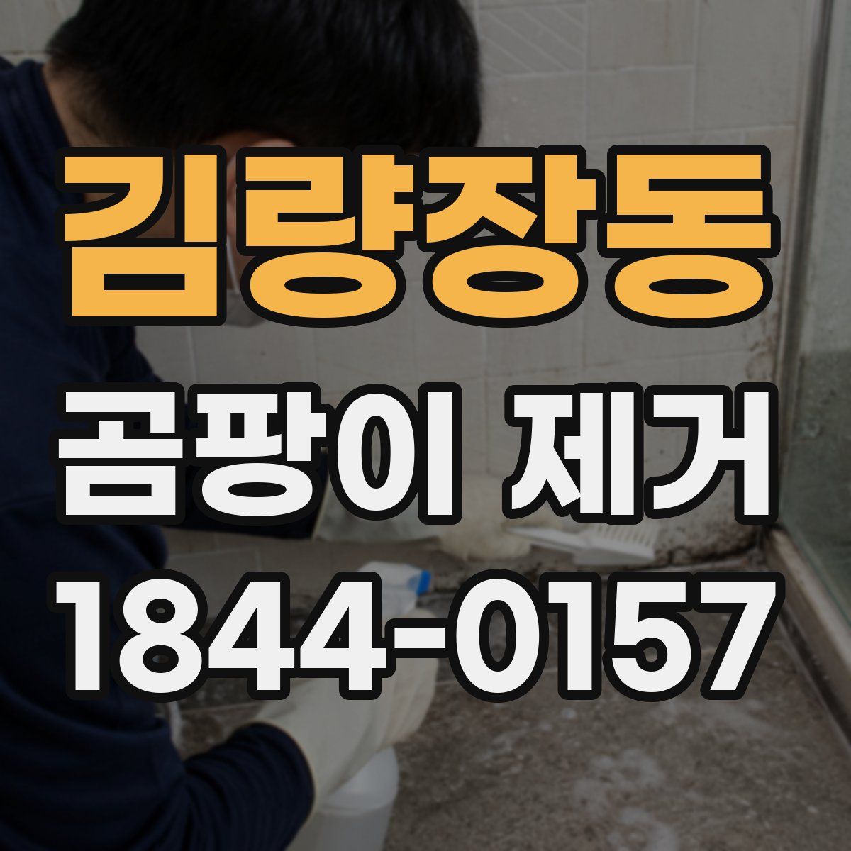 김량장동 곰팡이 제거
