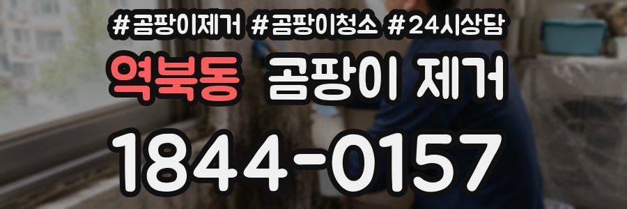 역북동 곰팡이 제거