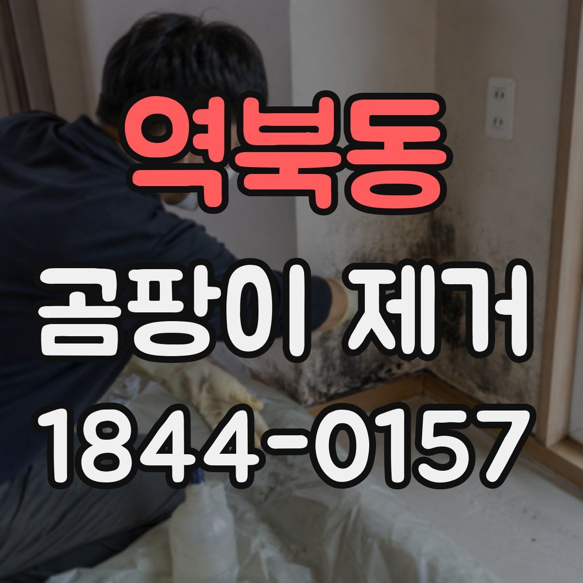 역북동 곰팡이 제거