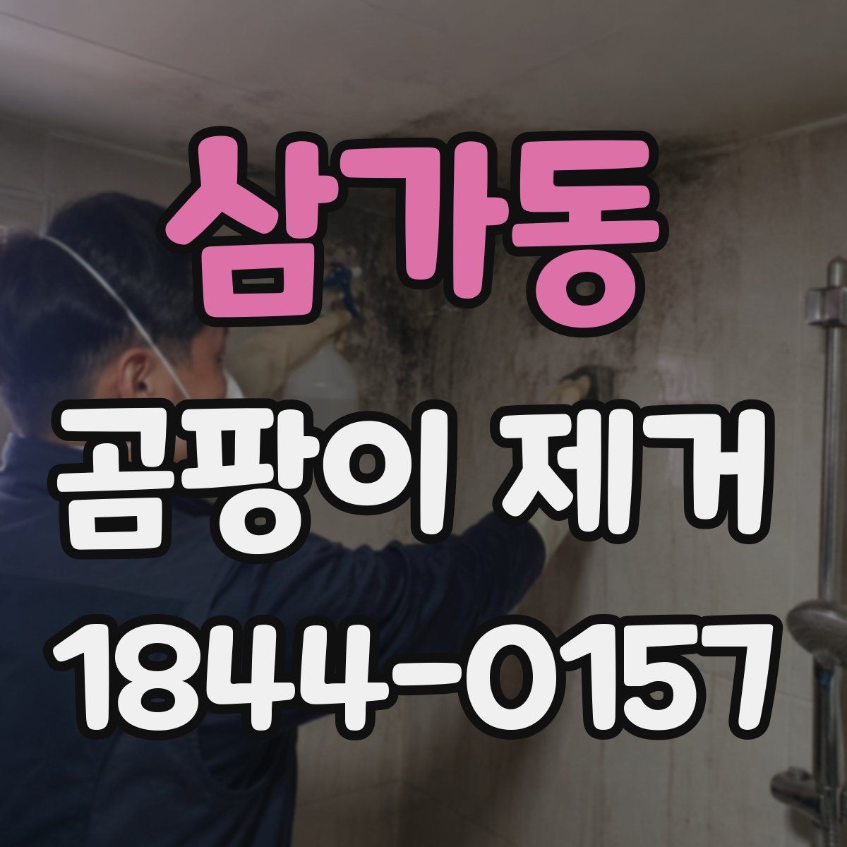 삼가동 곰팡이 제거 주방과 욕실 경계의 번짐 점검 포인트