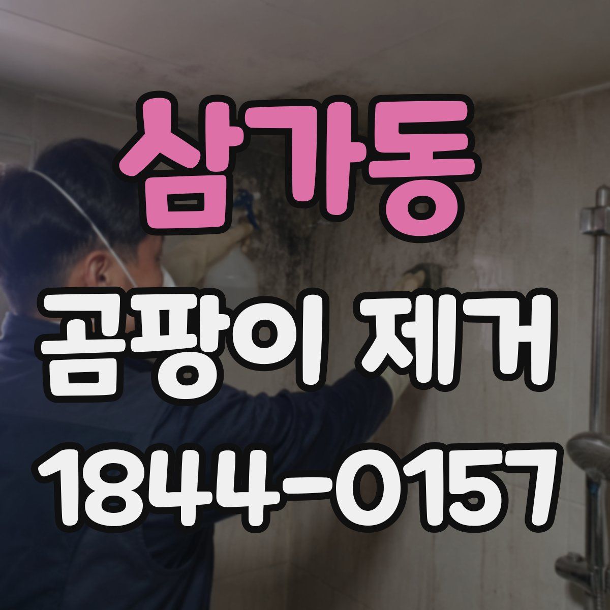 삼가동 곰팡이 제거