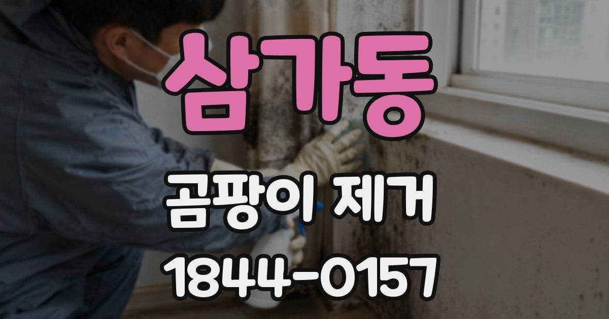 삼가동 곰팡이 제거