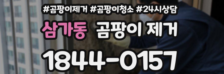 삼가동 곰팡이 제거
