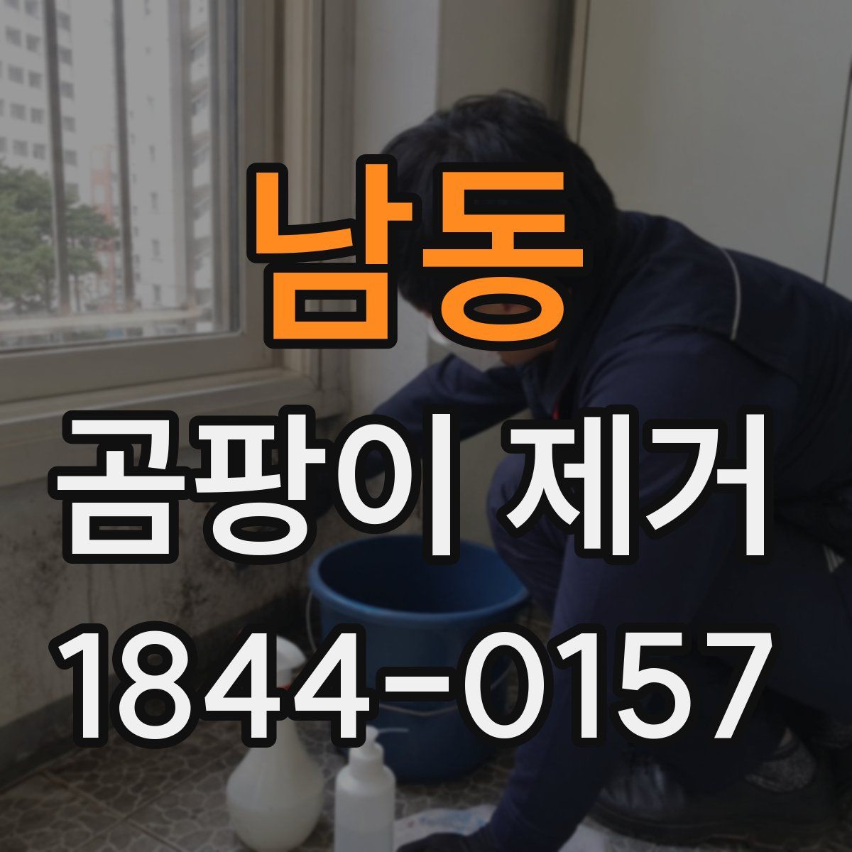남동 곰팡이 제거