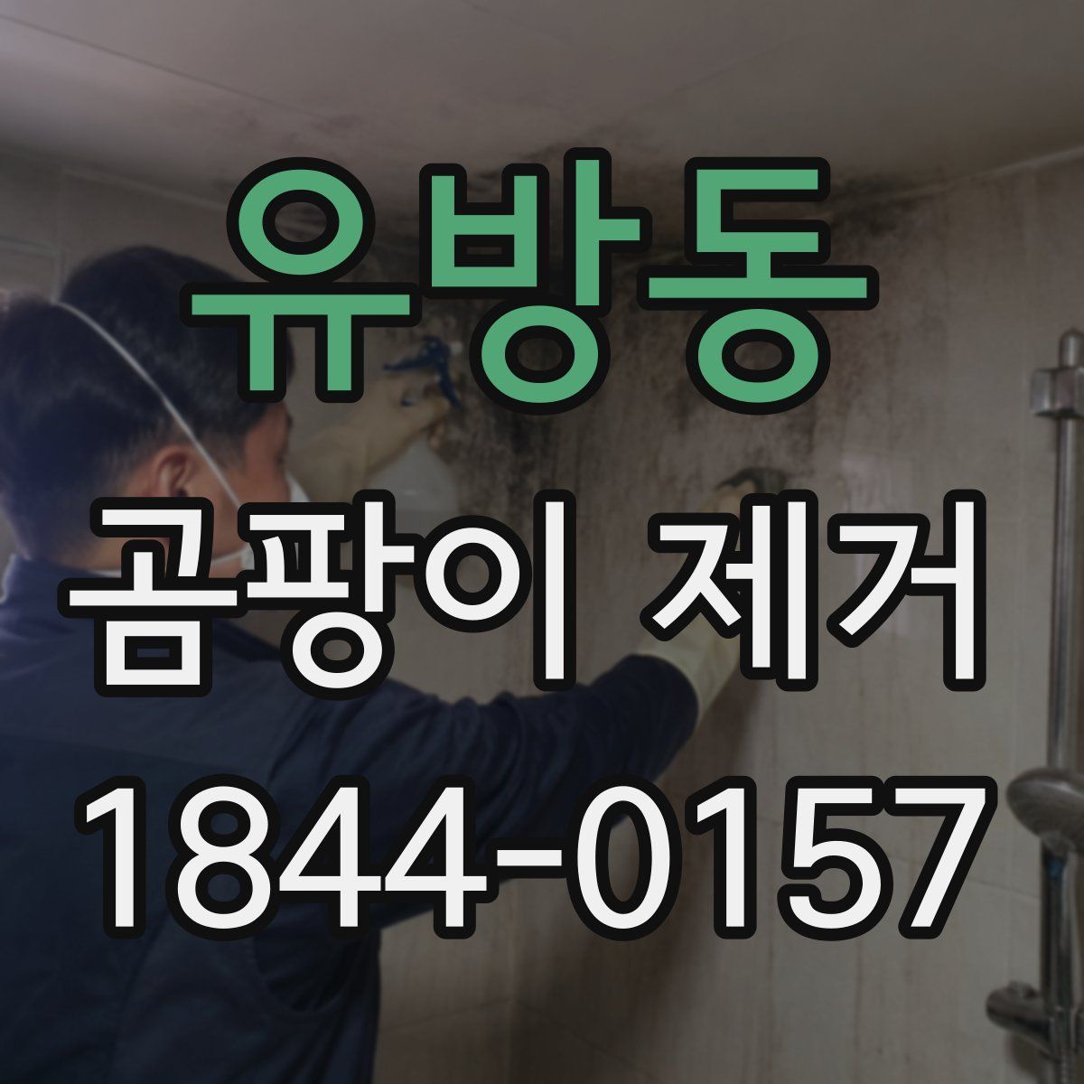 유방동 곰팡이 제거