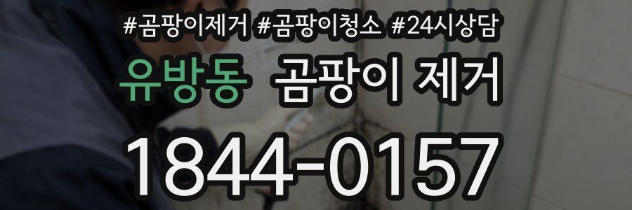 유방동 곰팡이 제거