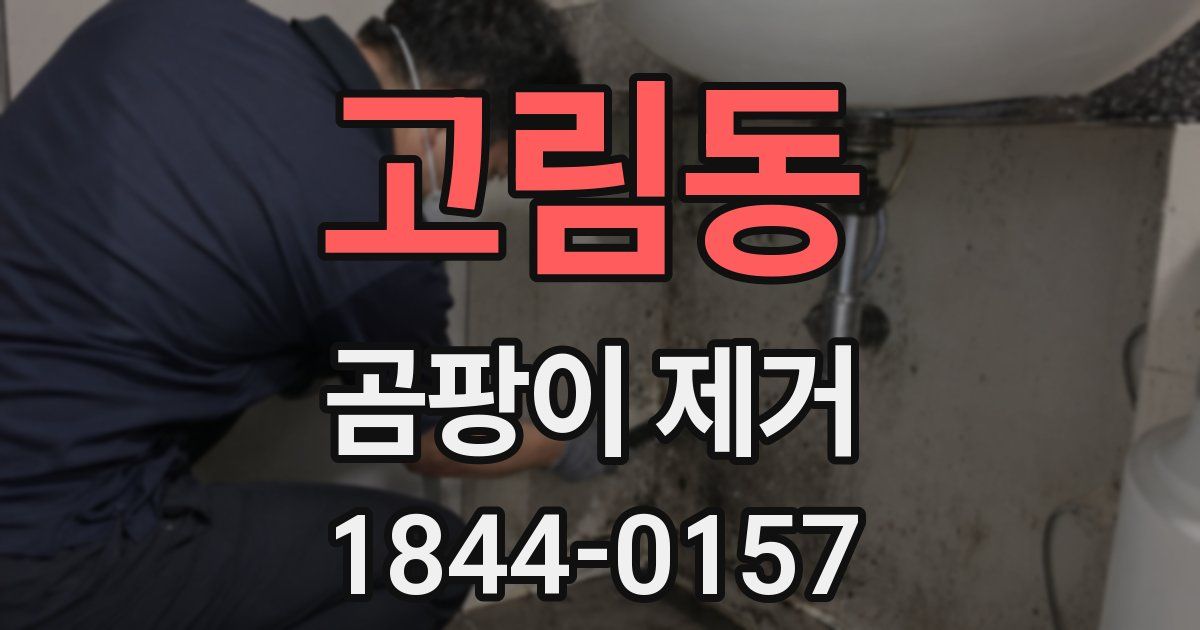 고림동 곰팡이 제거