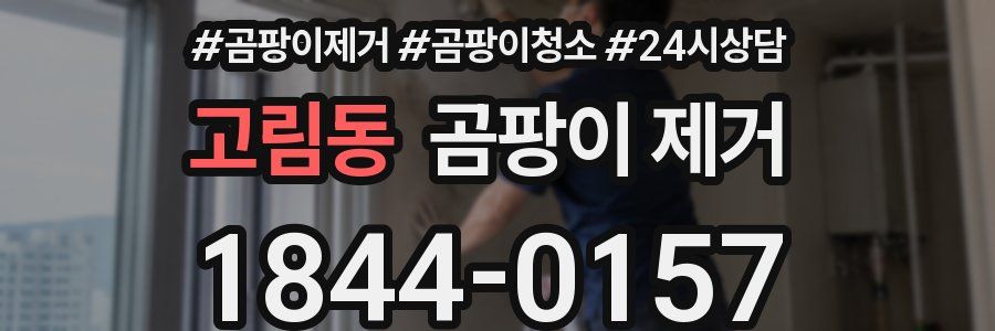 고림동 곰팡이 제거