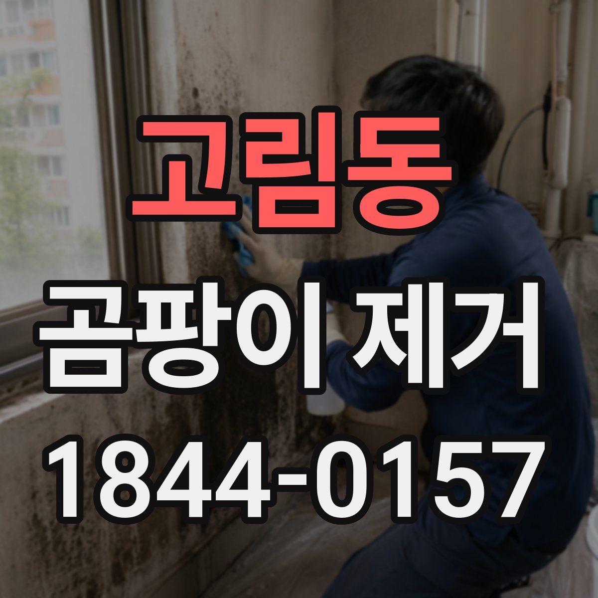 고림동 곰팡이 제거