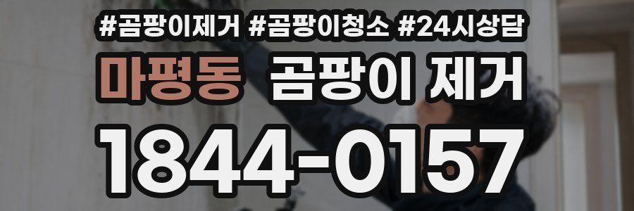 마평동 곰팡이 제거