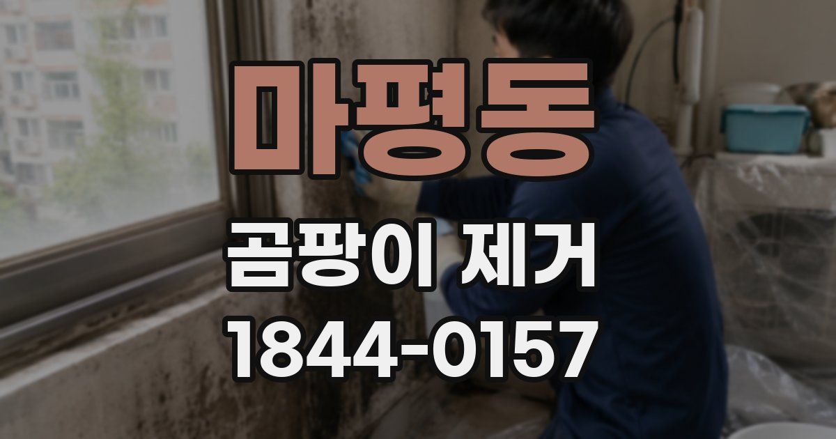 마평동 곰팡이 제거