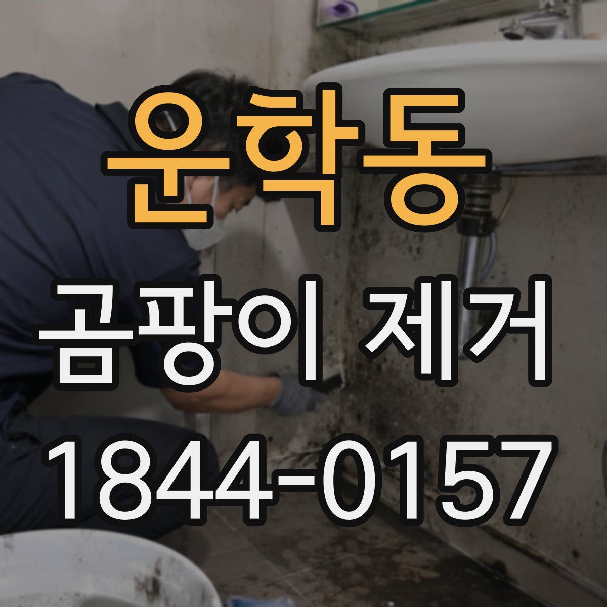 운학동 곰팡이 제거