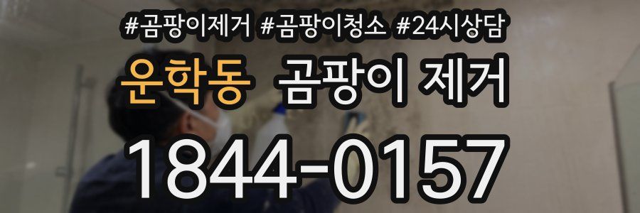 운학동 곰팡이 제거