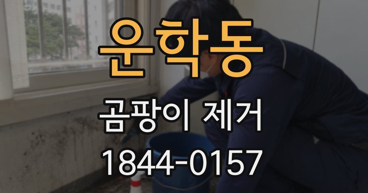 운학동 곰팡이 제거