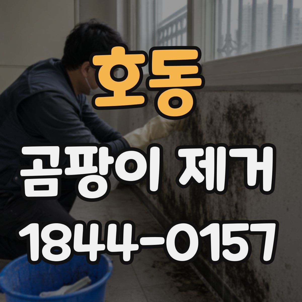 호동 곰팡이 제거