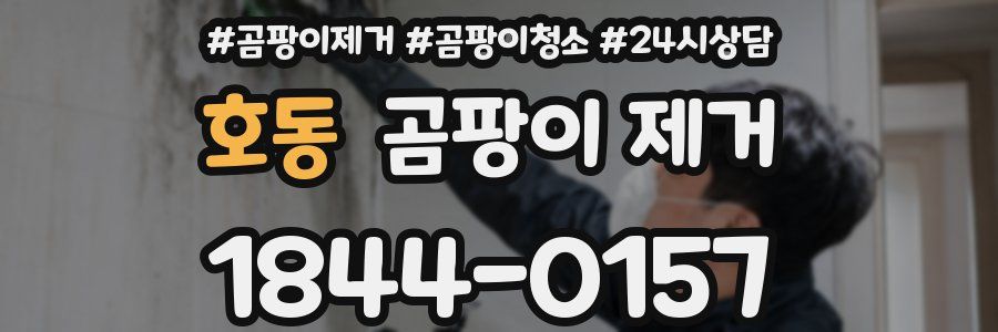 호동 곰팡이 제거