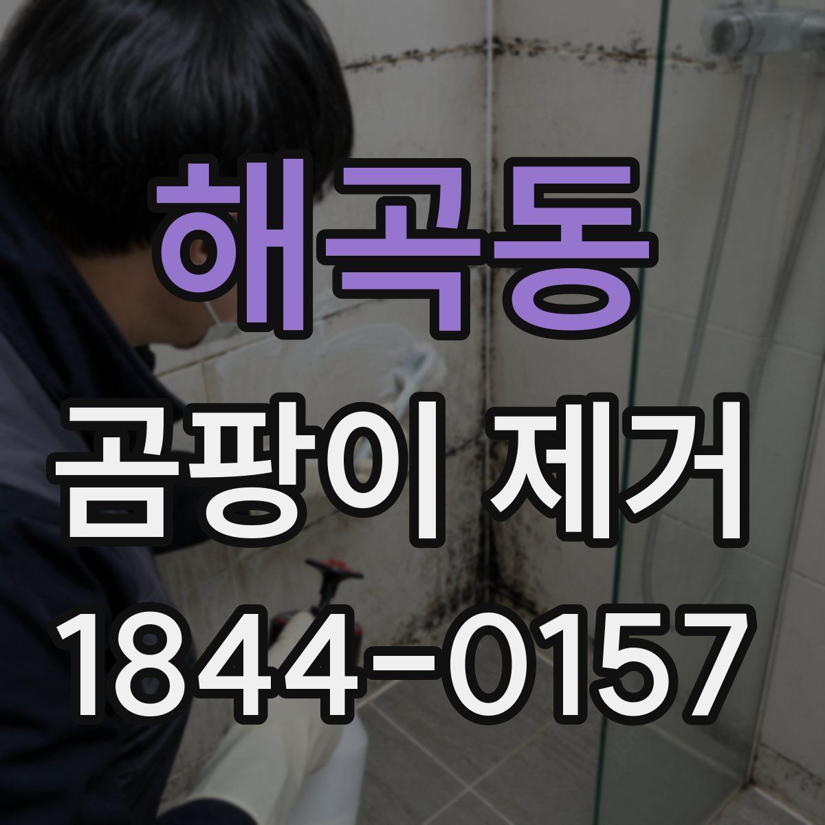 해곡동 곰팡이 제거