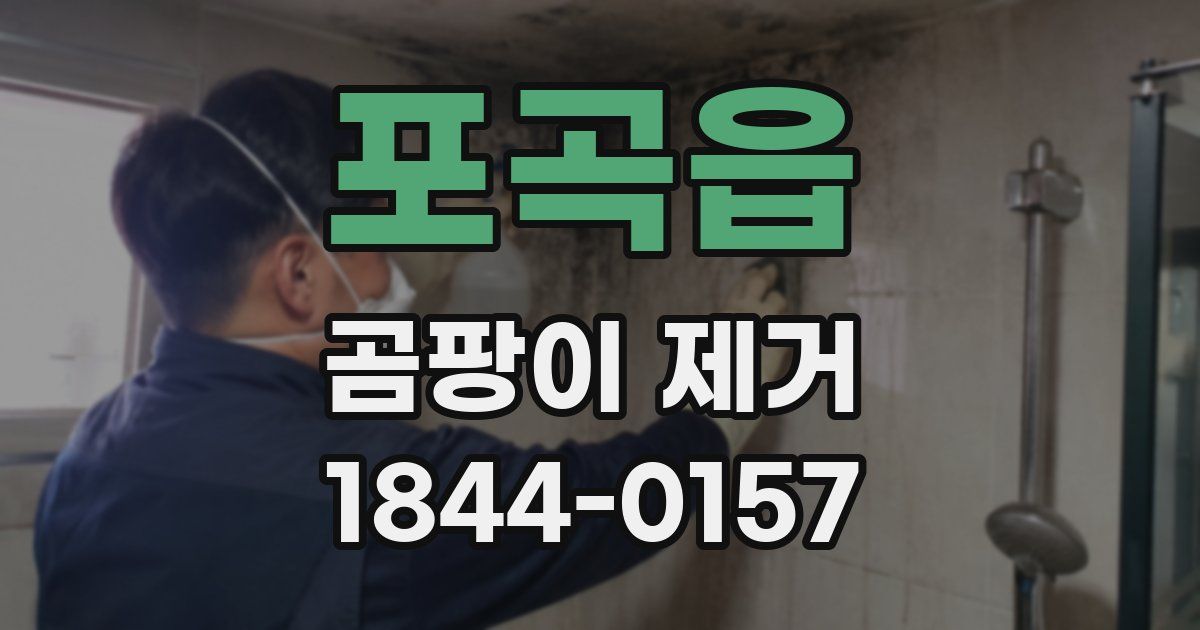 포곡읍 곰팡이 제거