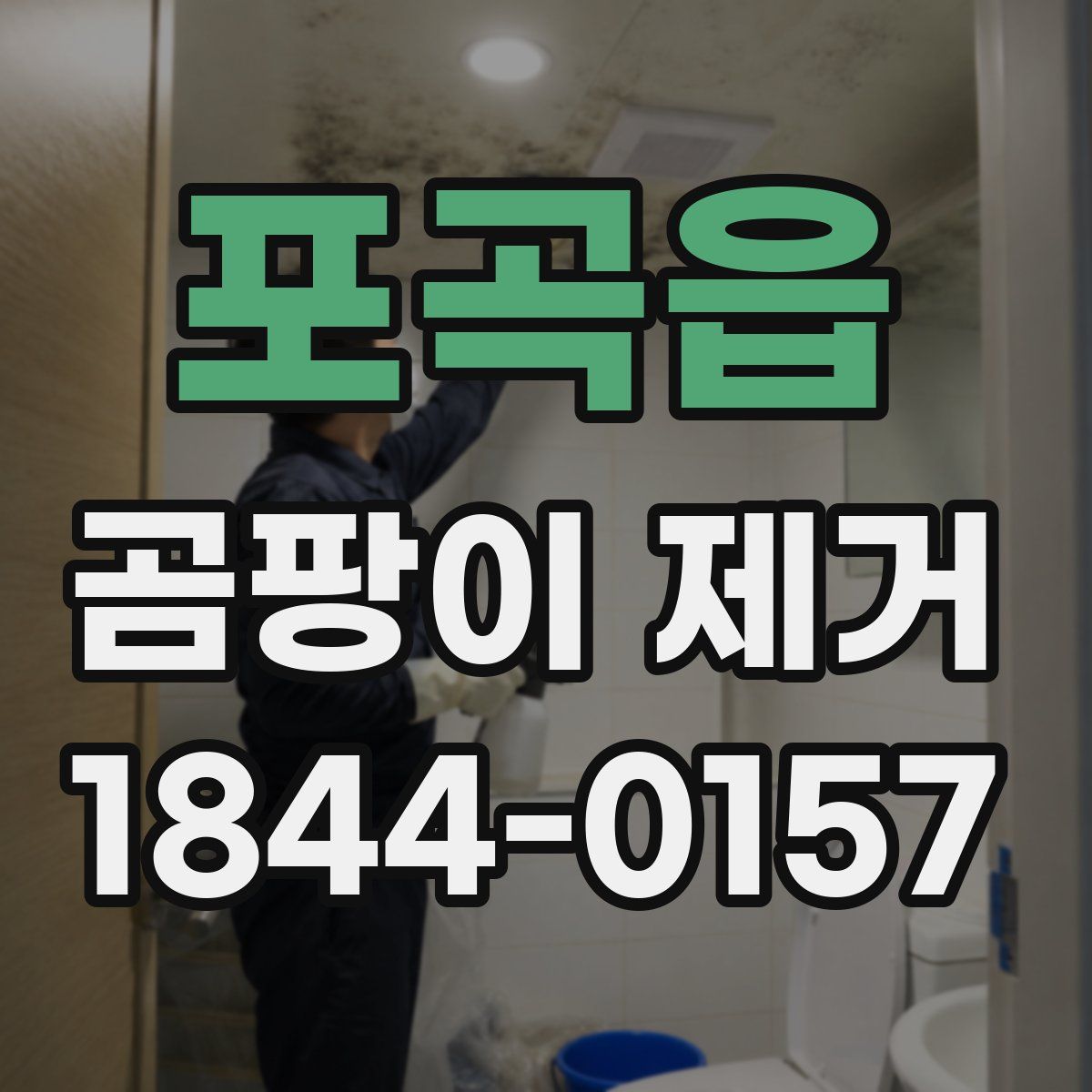포곡읍 곰팡이 제거