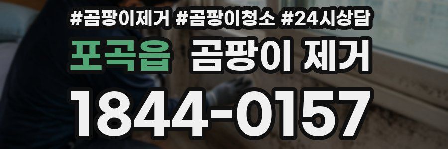 포곡읍 곰팡이 제거