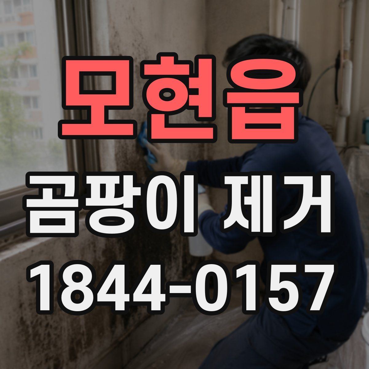 모현읍 곰팡이 제거