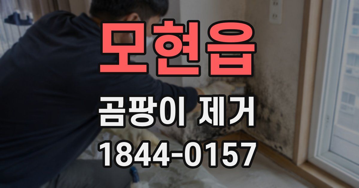 모현읍 곰팡이 제거