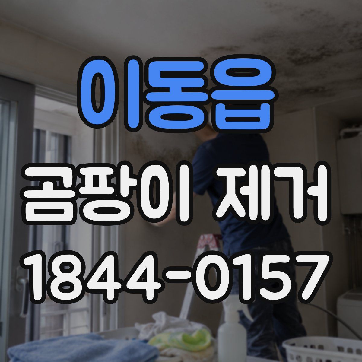 이동읍 곰팡이 제거