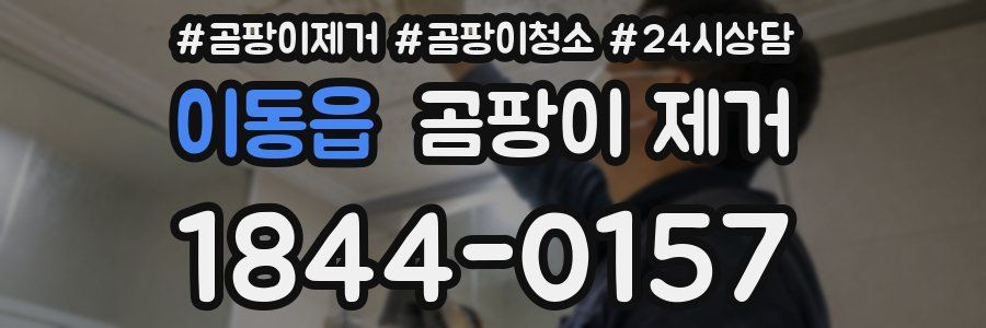 이동읍 곰팡이 제거