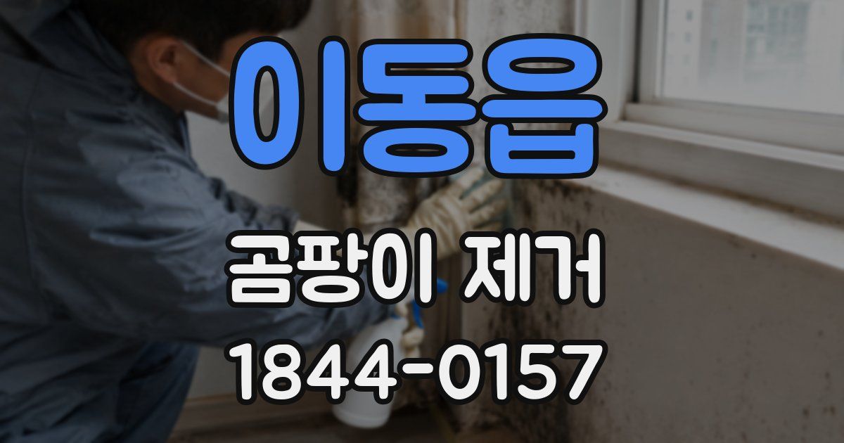 이동읍 곰팡이 제거