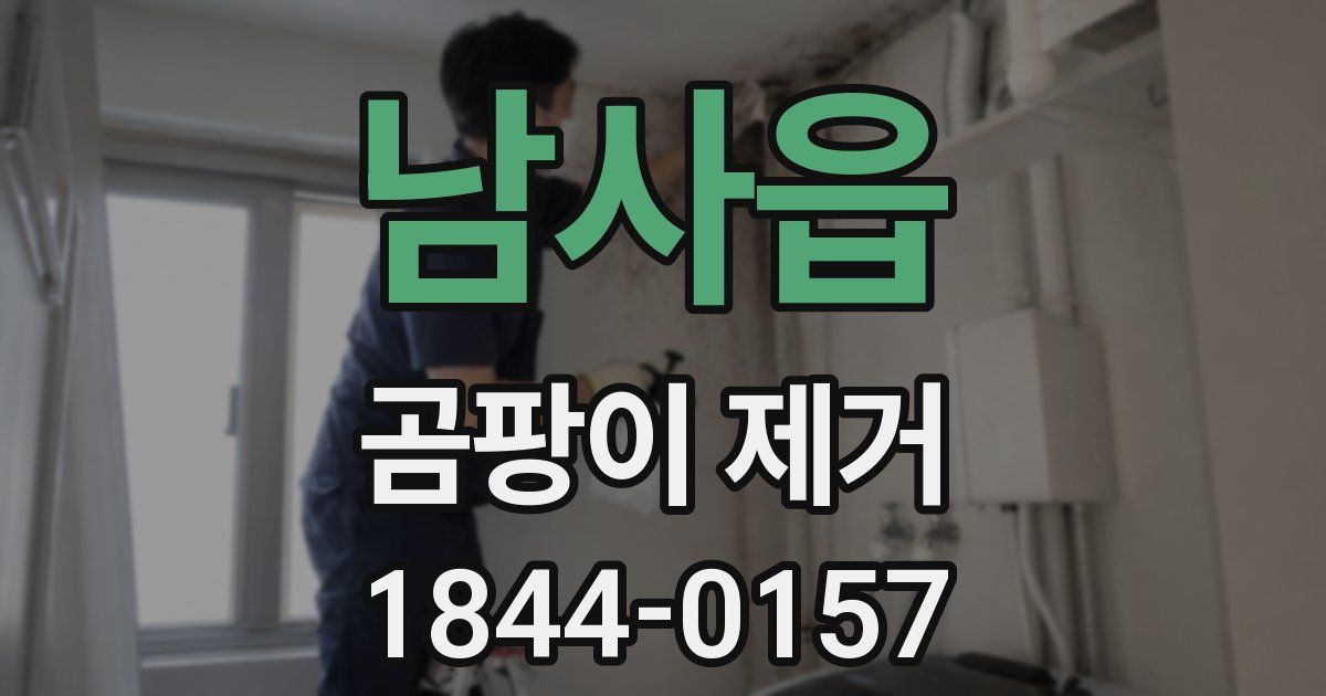 남사읍 곰팡이 제거