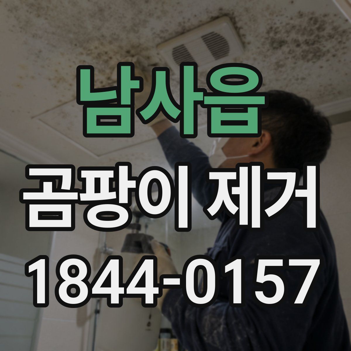 남사읍 곰팡이 제거