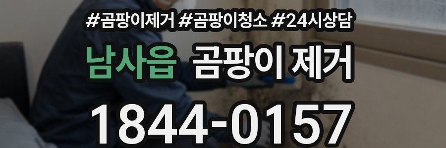 남사읍 곰팡이 제거