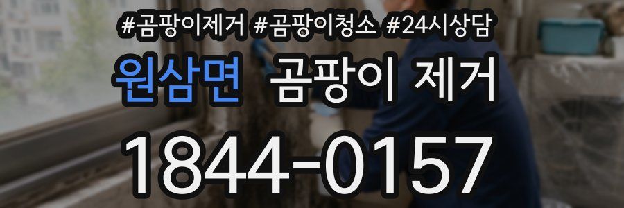 원삼면 곰팡이 제거