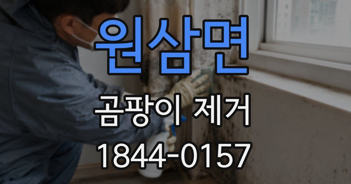 원삼면 곰팡이 제거