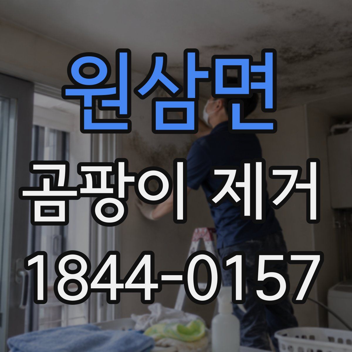 원삼면 곰팡이 제거