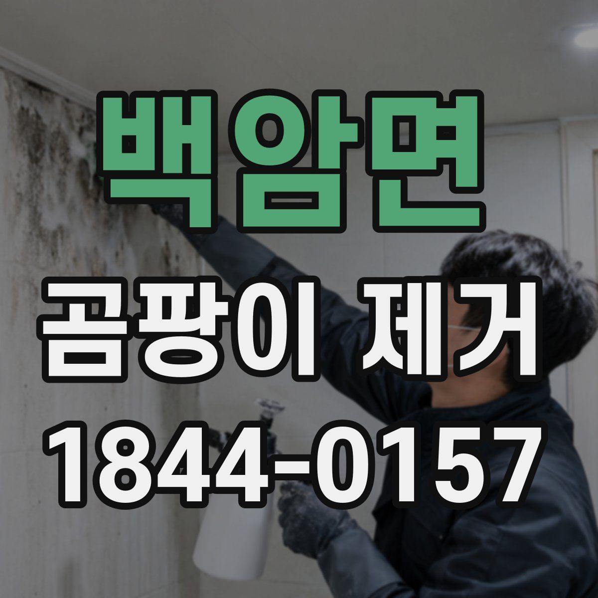 백암면 곰팡이 제거