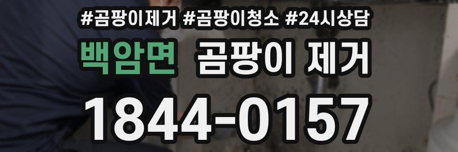 백암면 곰팡이 제거