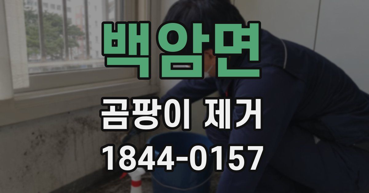 백암면 곰팡이 제거