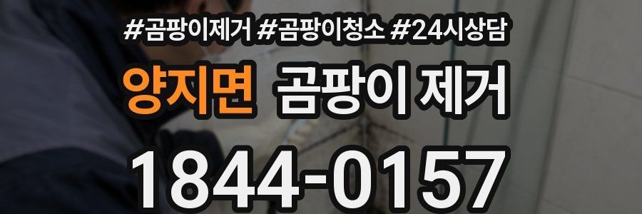 양지면 곰팡이 제거
