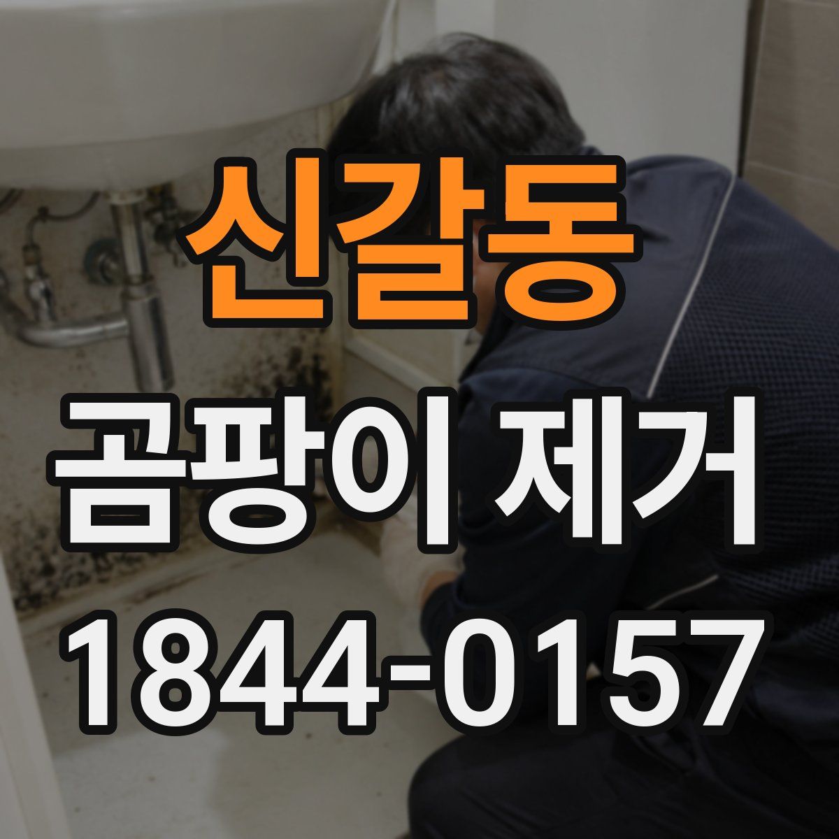 신갈동 곰팡이 제거
