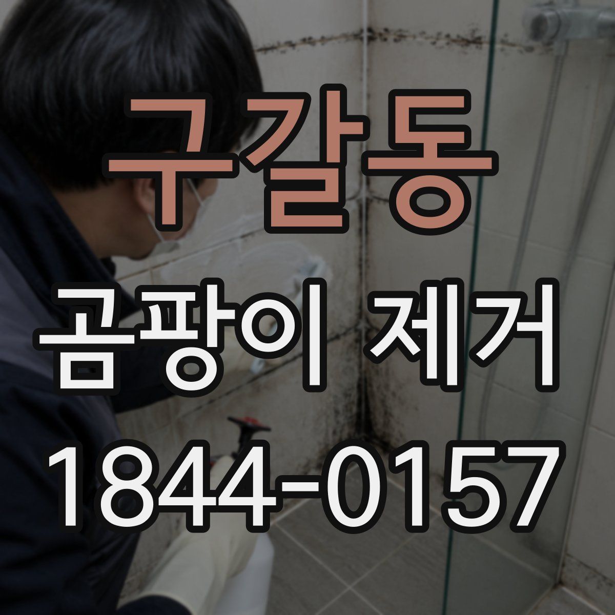 구갈동 곰팡이 제거